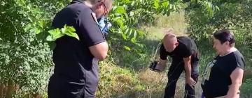 Завернули у ковдру і вивезли у лісосмугу: на Одещині поліцейські розслідують факт наруги над тілом 30-річної жінки (відео)